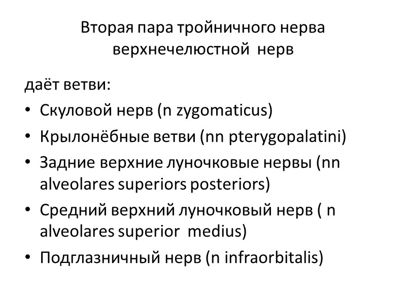 Вторая пара тройничного нерва верхнечелюстной  нерв  даёт ветви: Скуловой нерв (n zygomaticus)